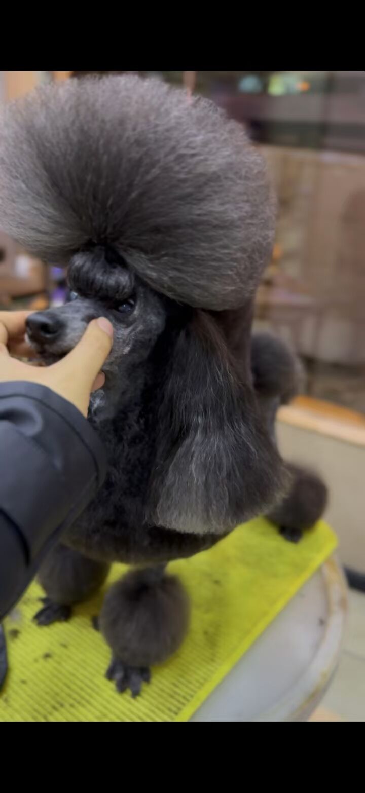 優秀作品