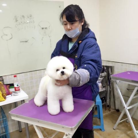 學(xué)習(xí)生活