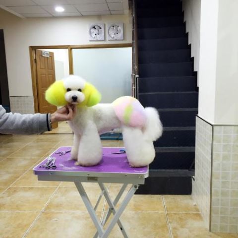 學習生活