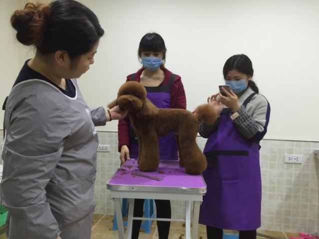學(xué)習(xí)生活