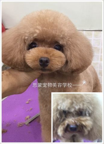 學習生活