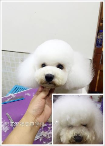 學習生活