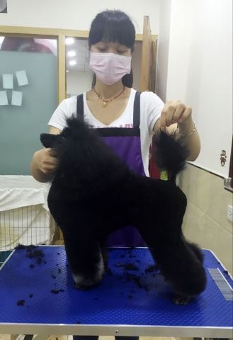 學(xué)習(xí)生活