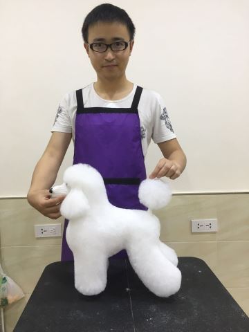 學(xué)習(xí)生活