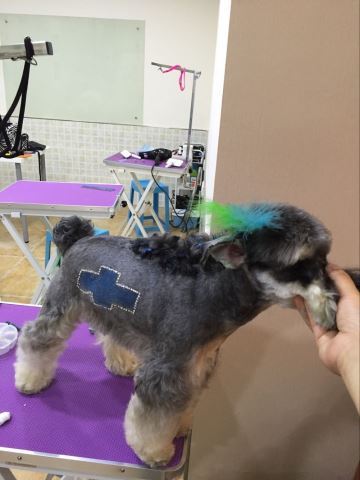 學習生活