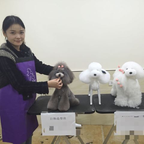 學習生活