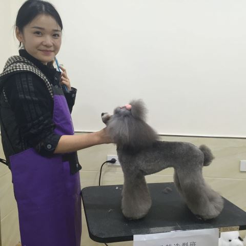 學習生活