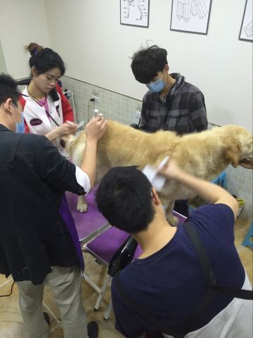 學習生活