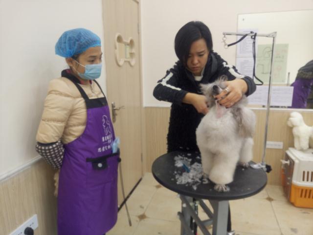 學習生活