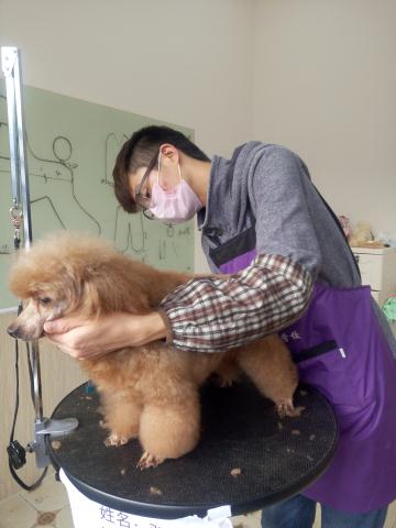 學習生活