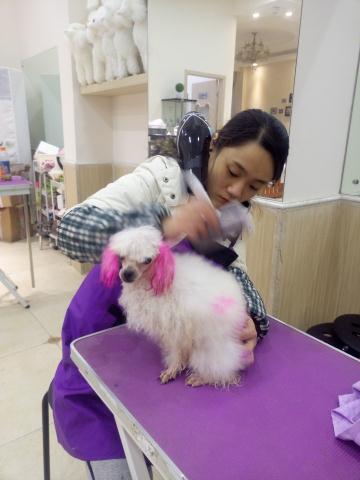 學習生活