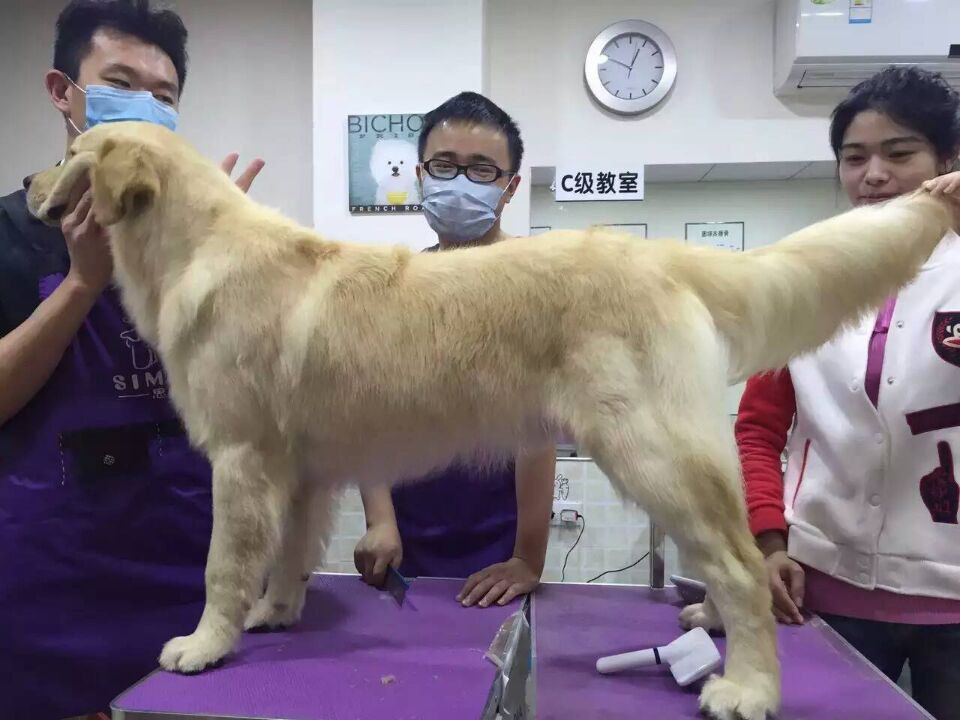 學習生活