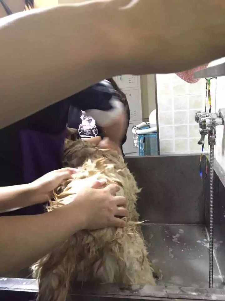 學習生活