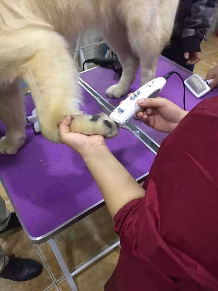 學習生活
