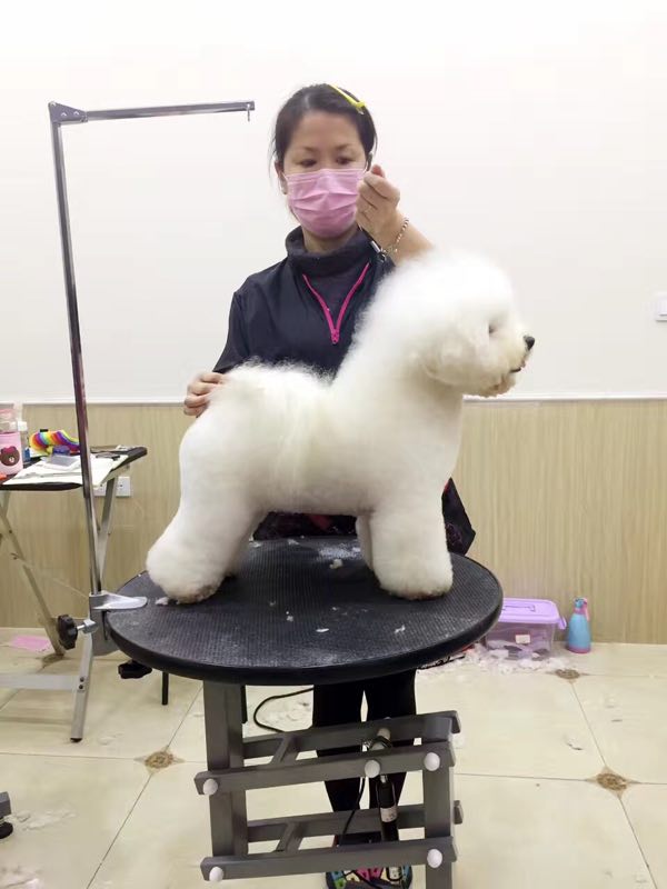 學習生活