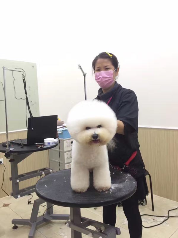 學習生活