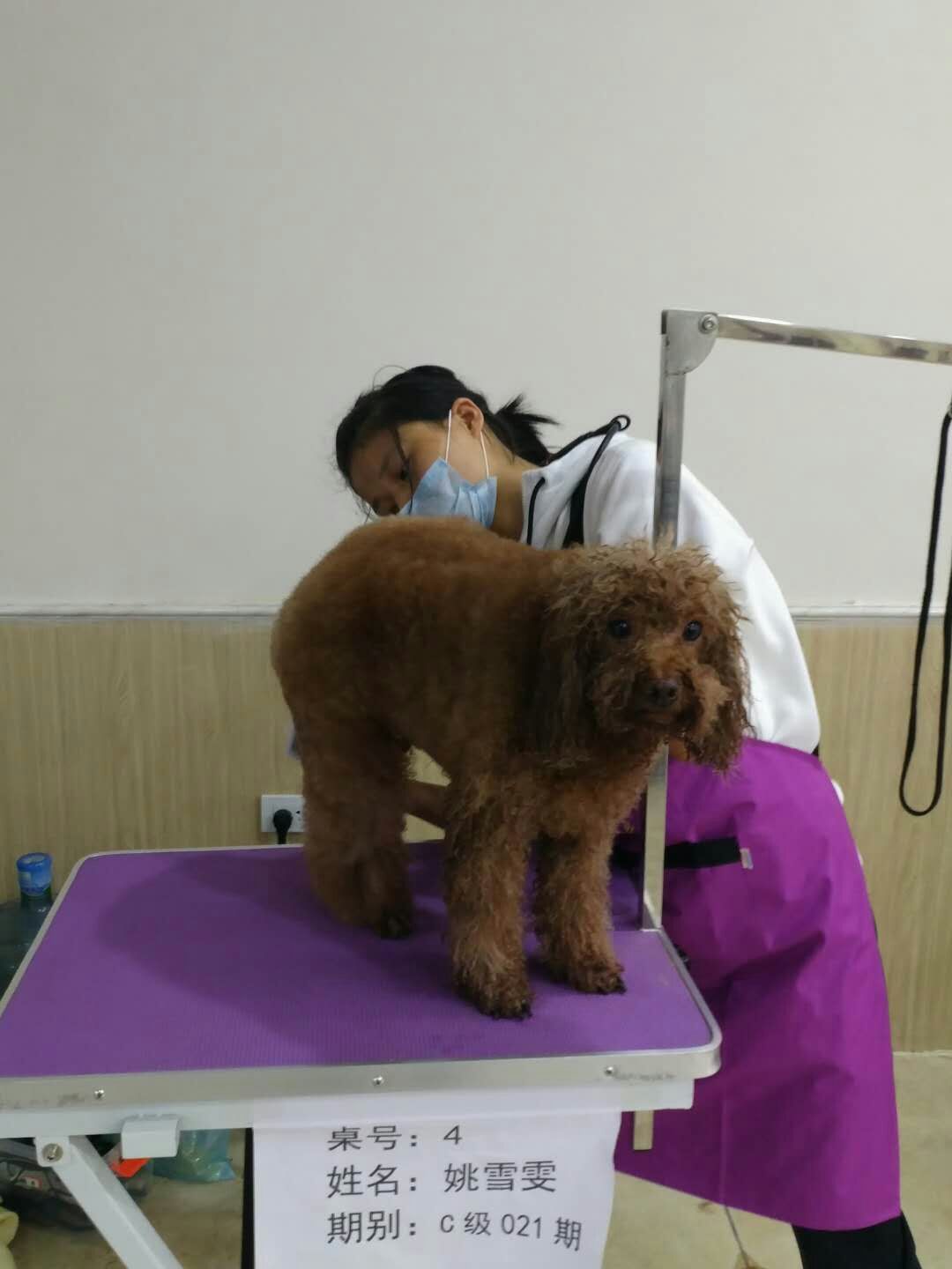 學習生活