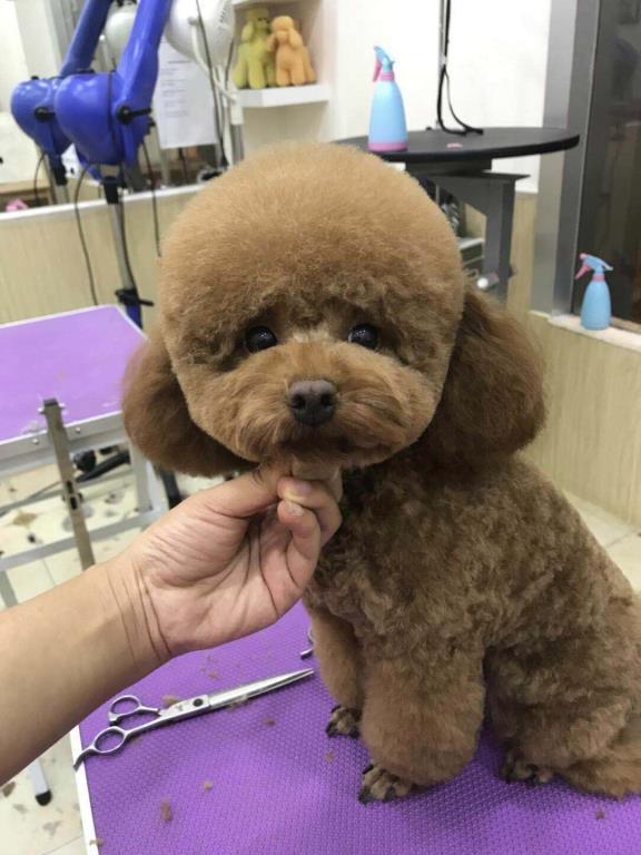 學習生活