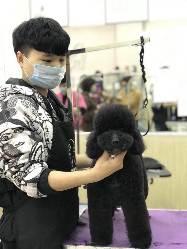 學習生活