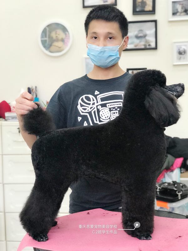 學習生活