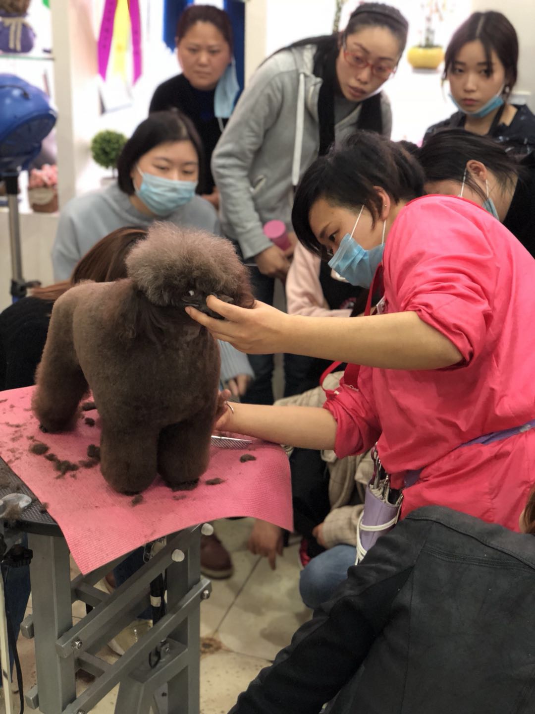 學習生活