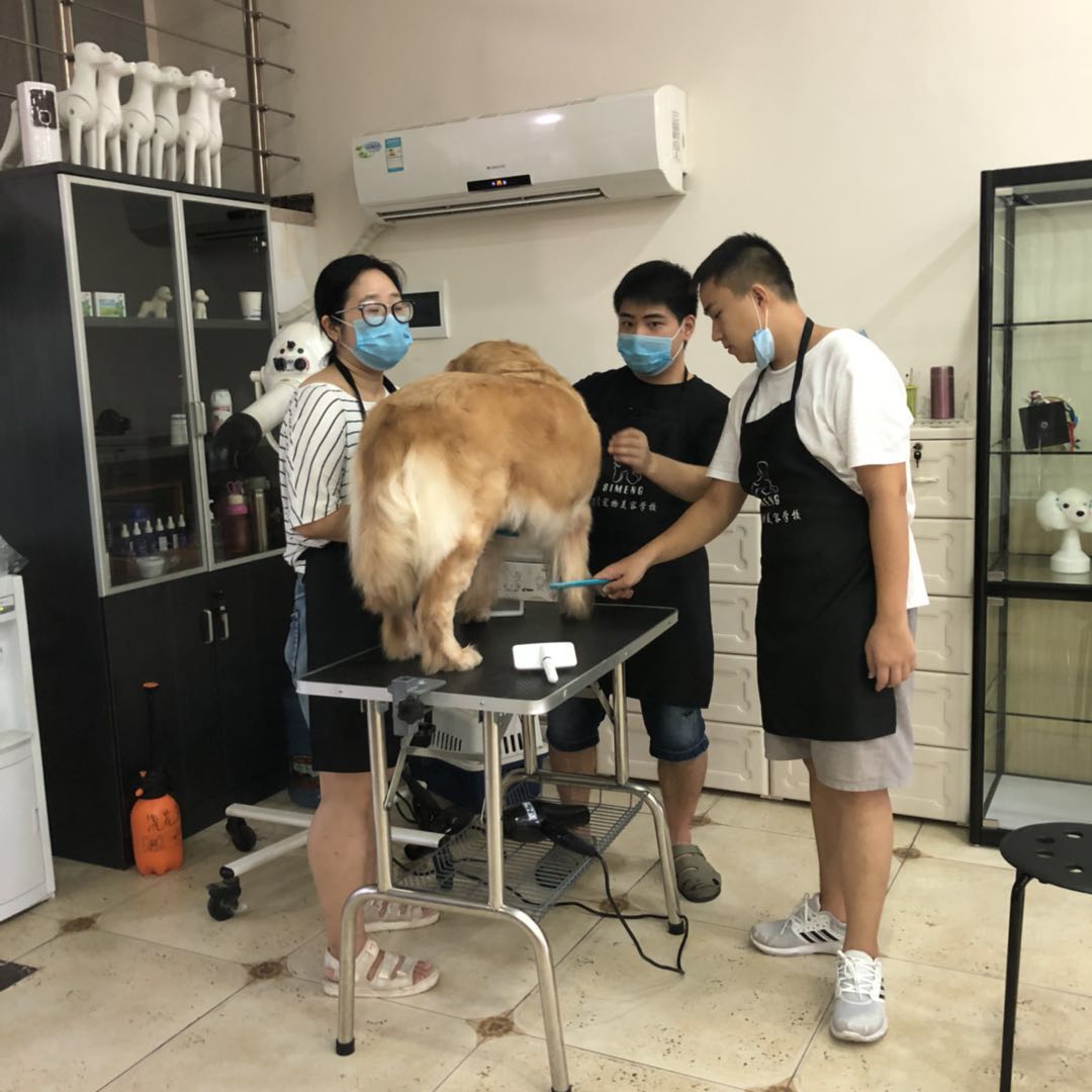 學習生活