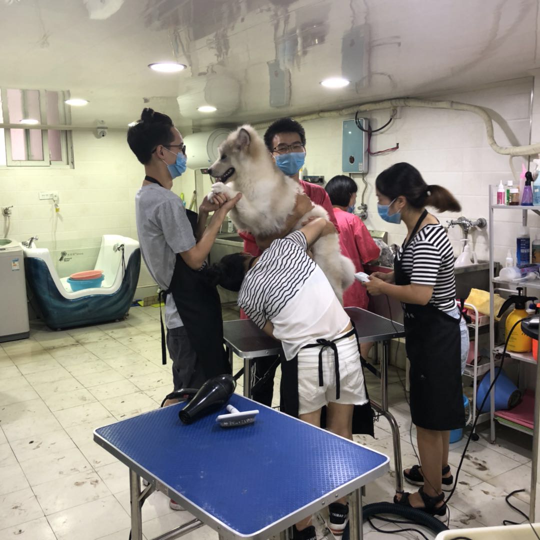 學習生活