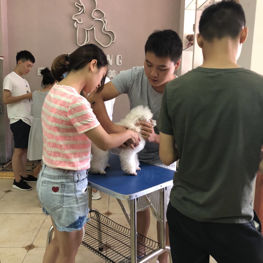 學習生活