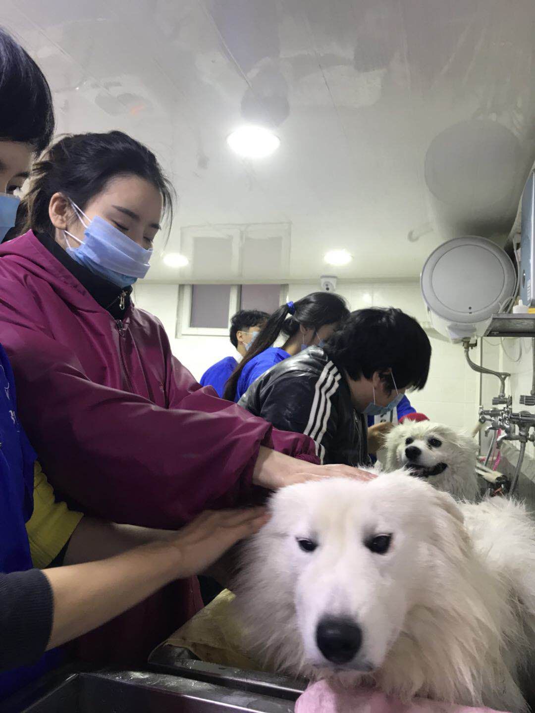 學習生活