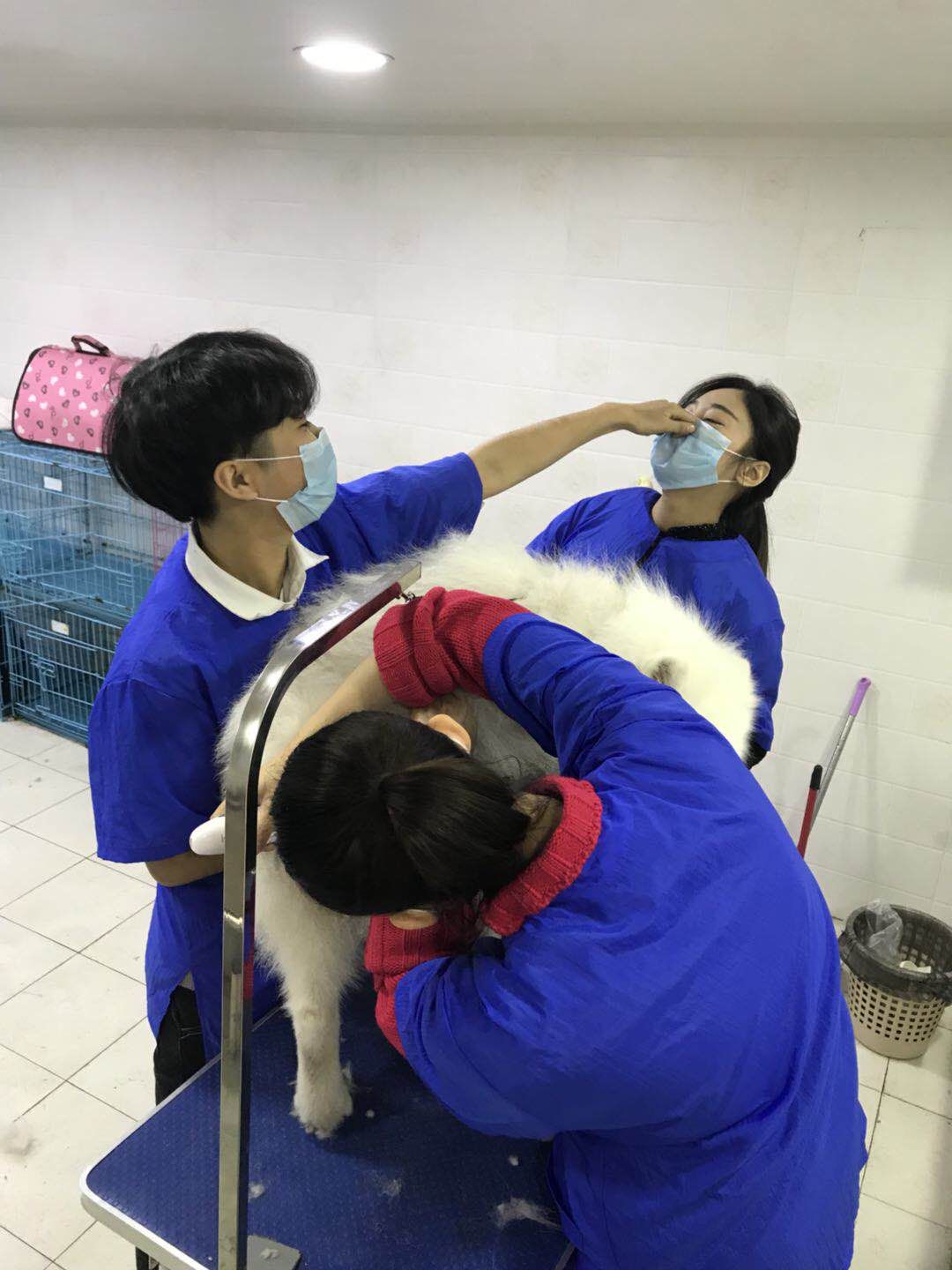 學習生活