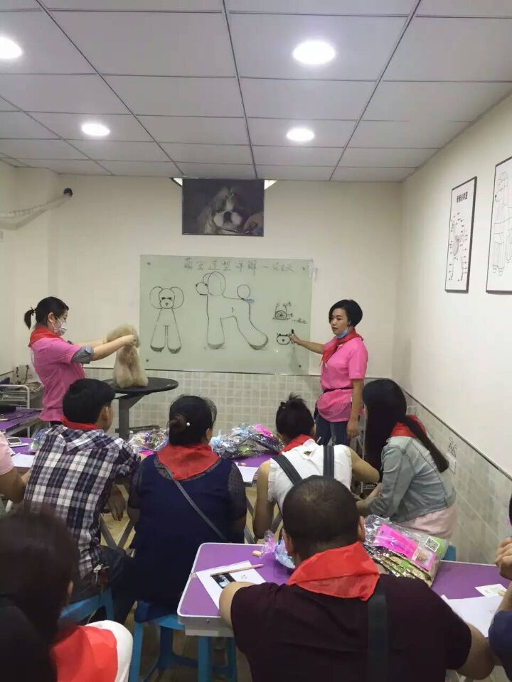 學習生活