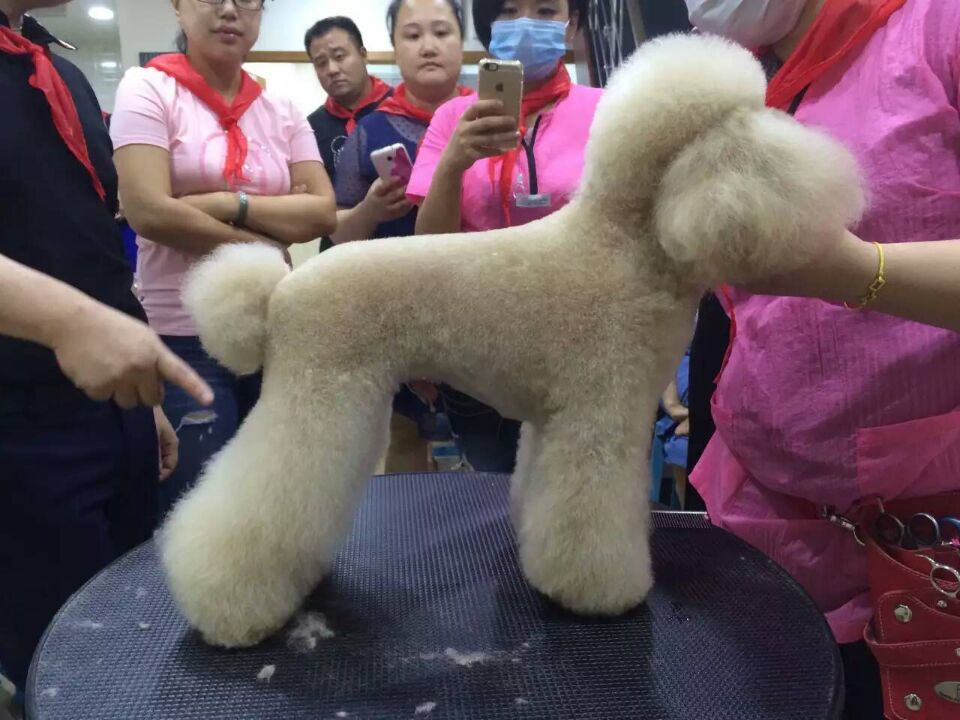 學習生活