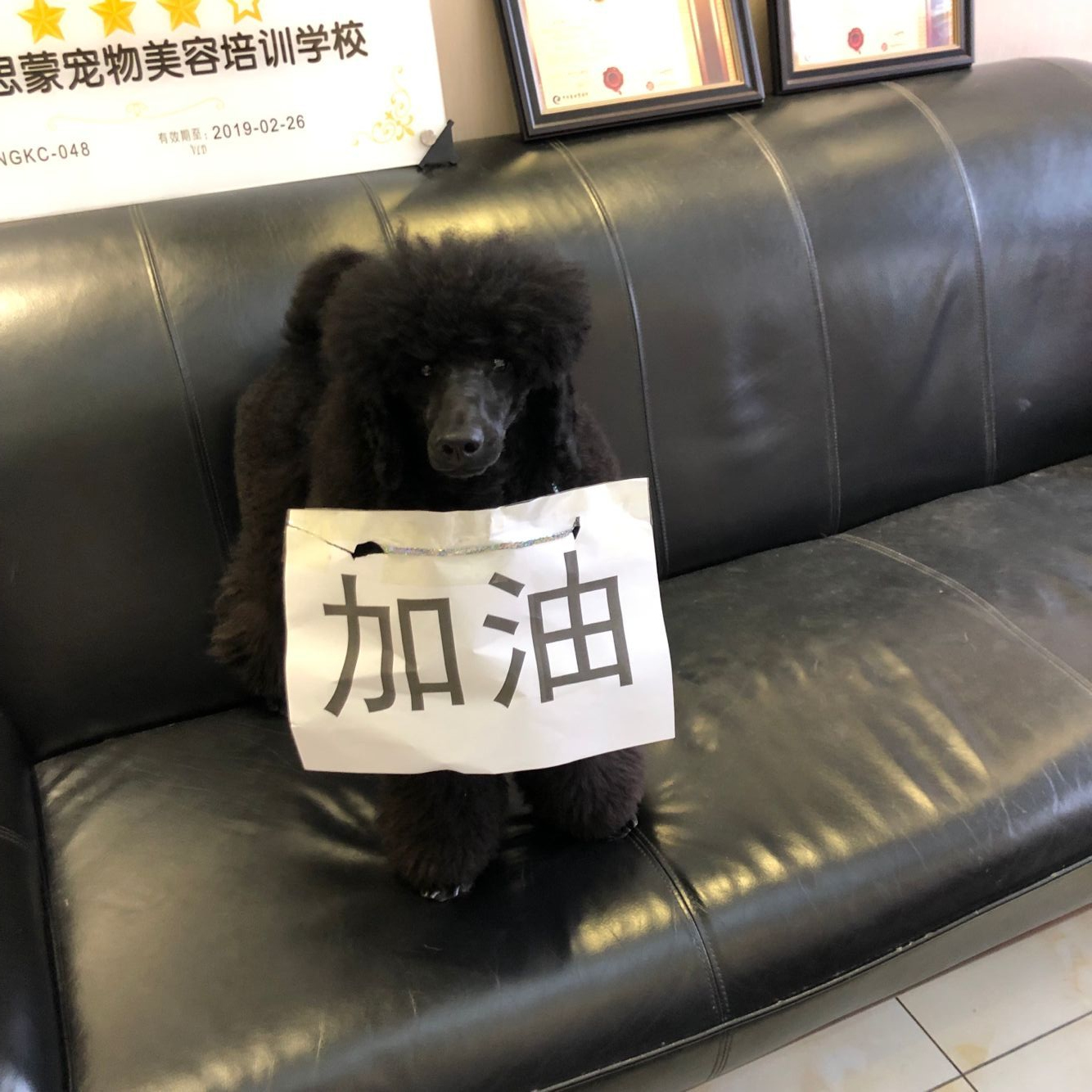 學(xué)習(xí)生活