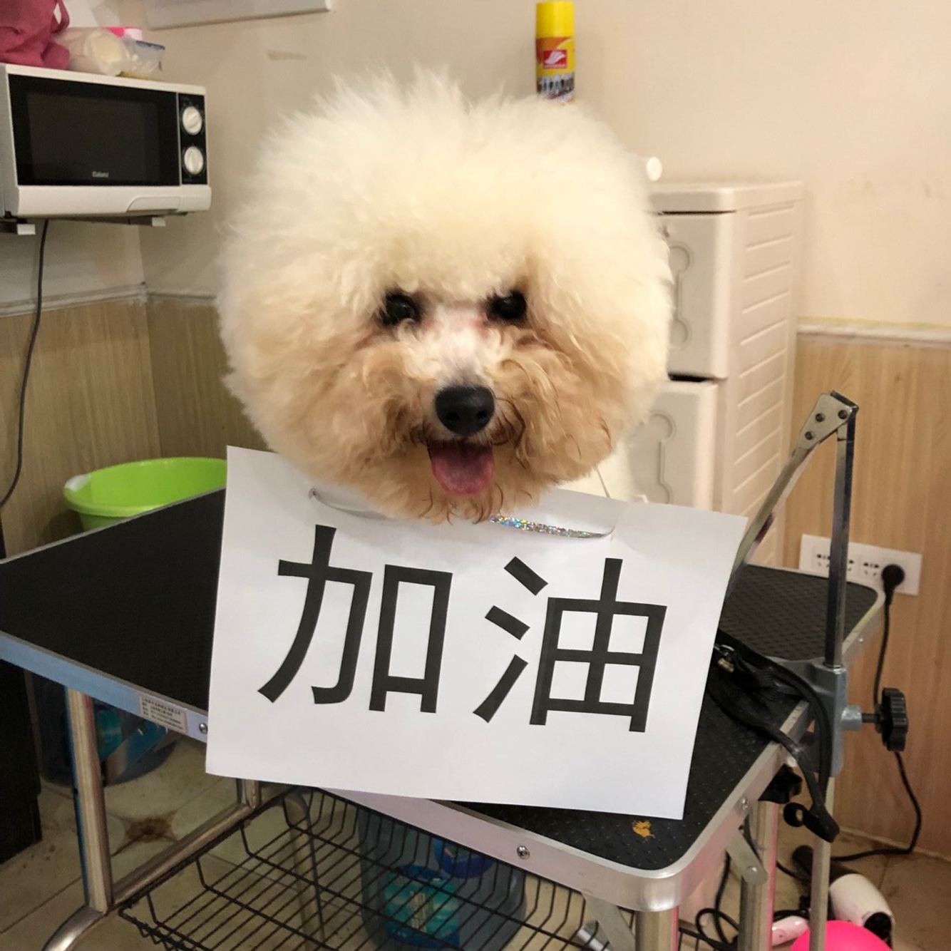 學(xué)習(xí)生活