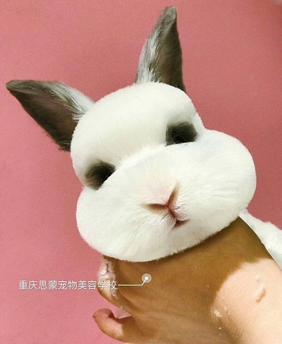 C級標準班課程