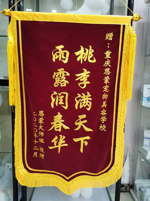 學(xué)習(xí)生活