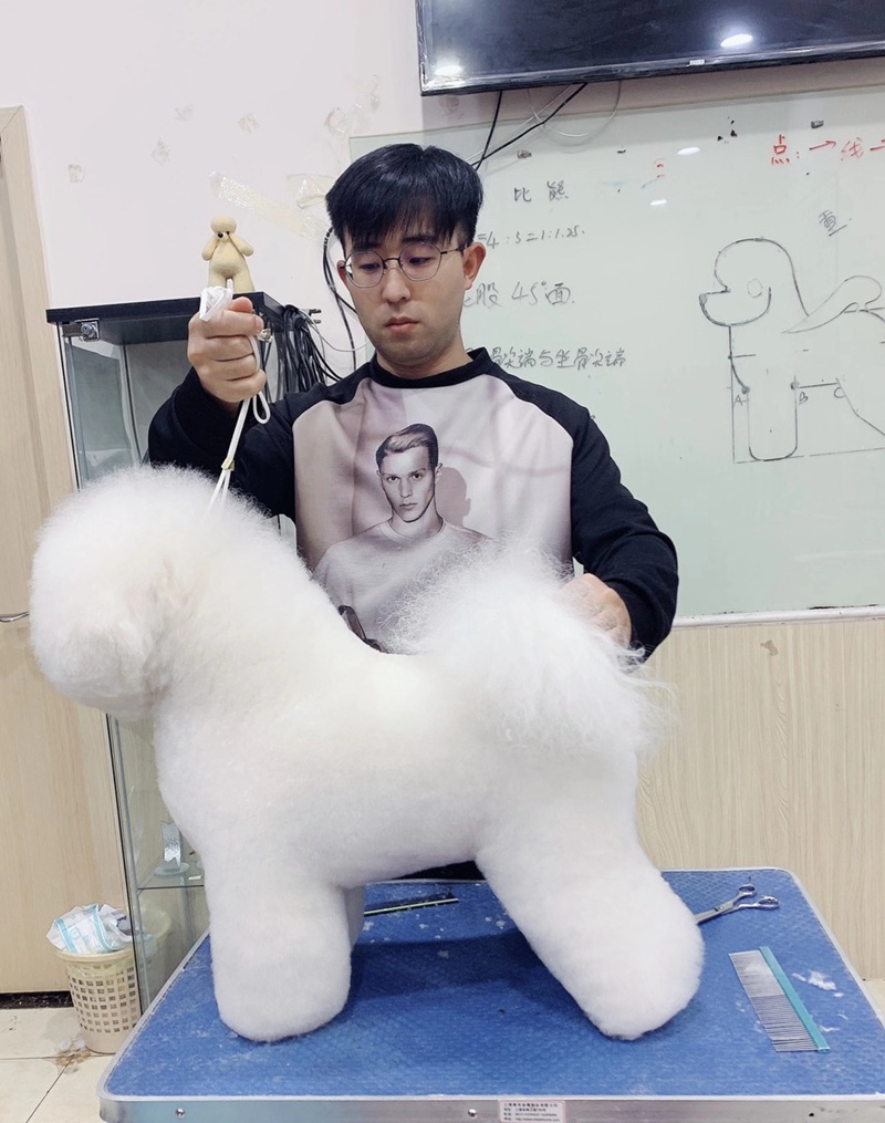 學習生活