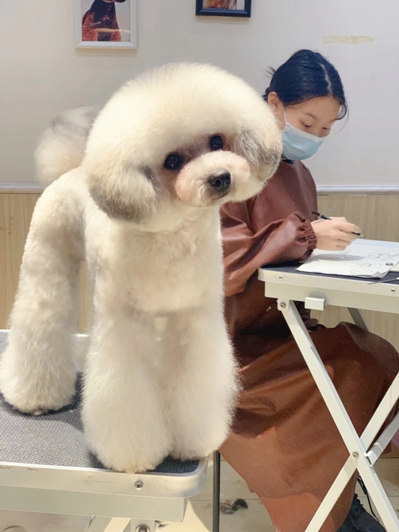 學習生活