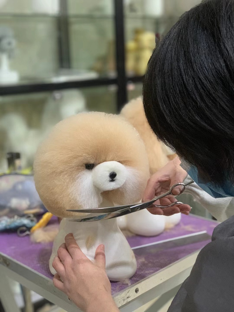 學習生活