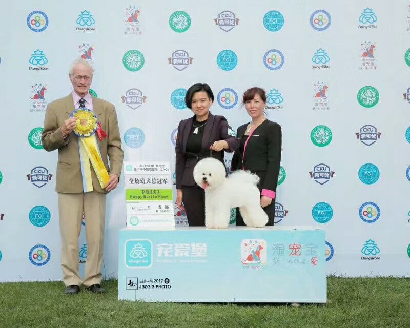 我們的榮譽