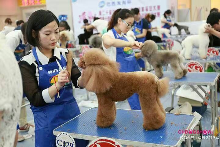 我們的榮譽