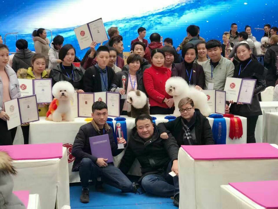 我們的榮譽