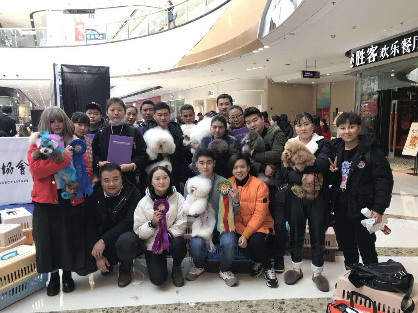 我們的榮譽