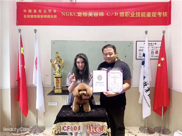 我們的榮譽