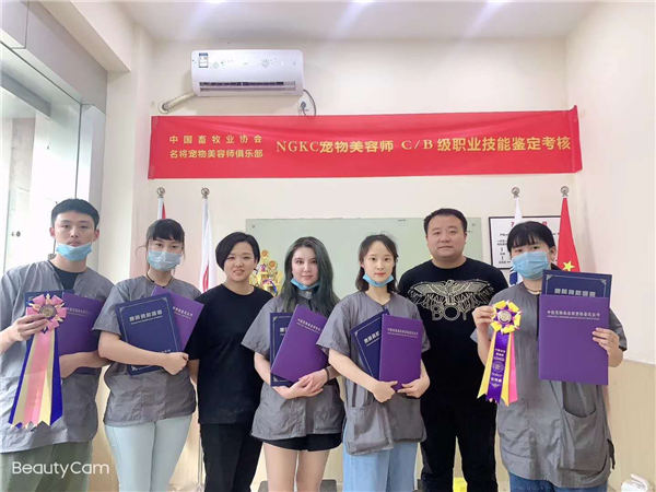 我們的榮譽