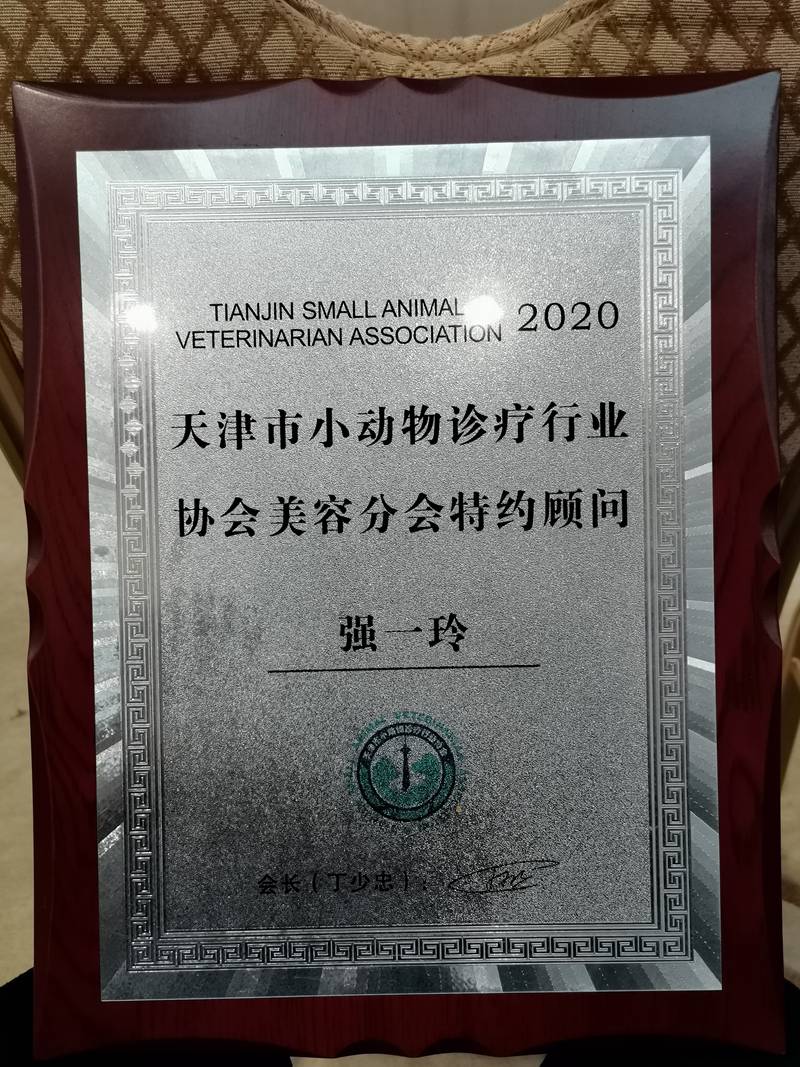 我們的榮譽