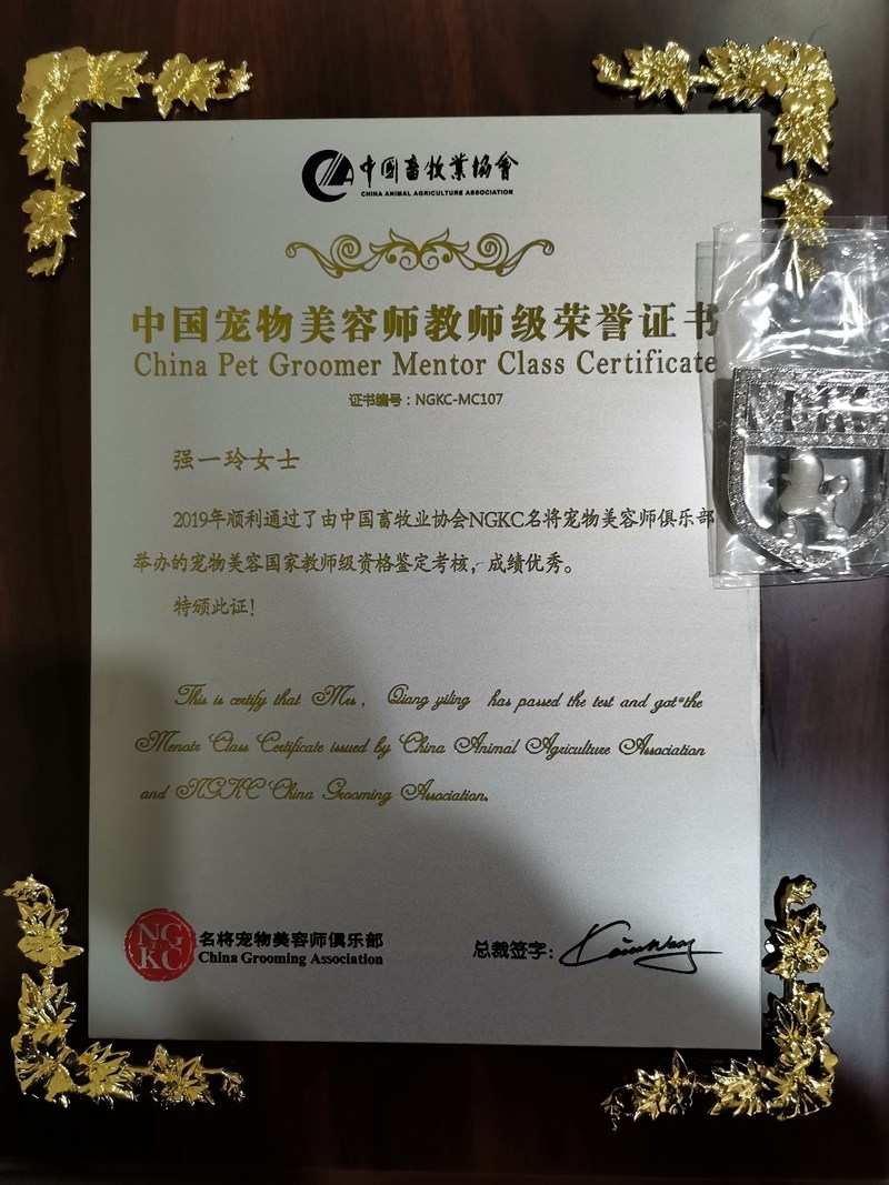 我們的榮譽