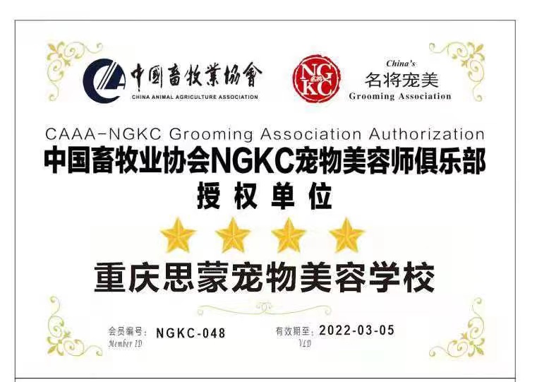 我們的榮譽