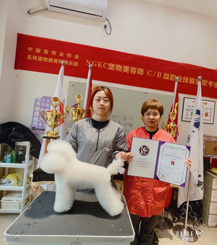 我們的榮譽