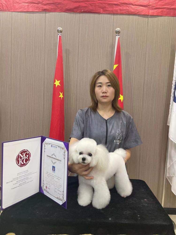 我們的榮譽